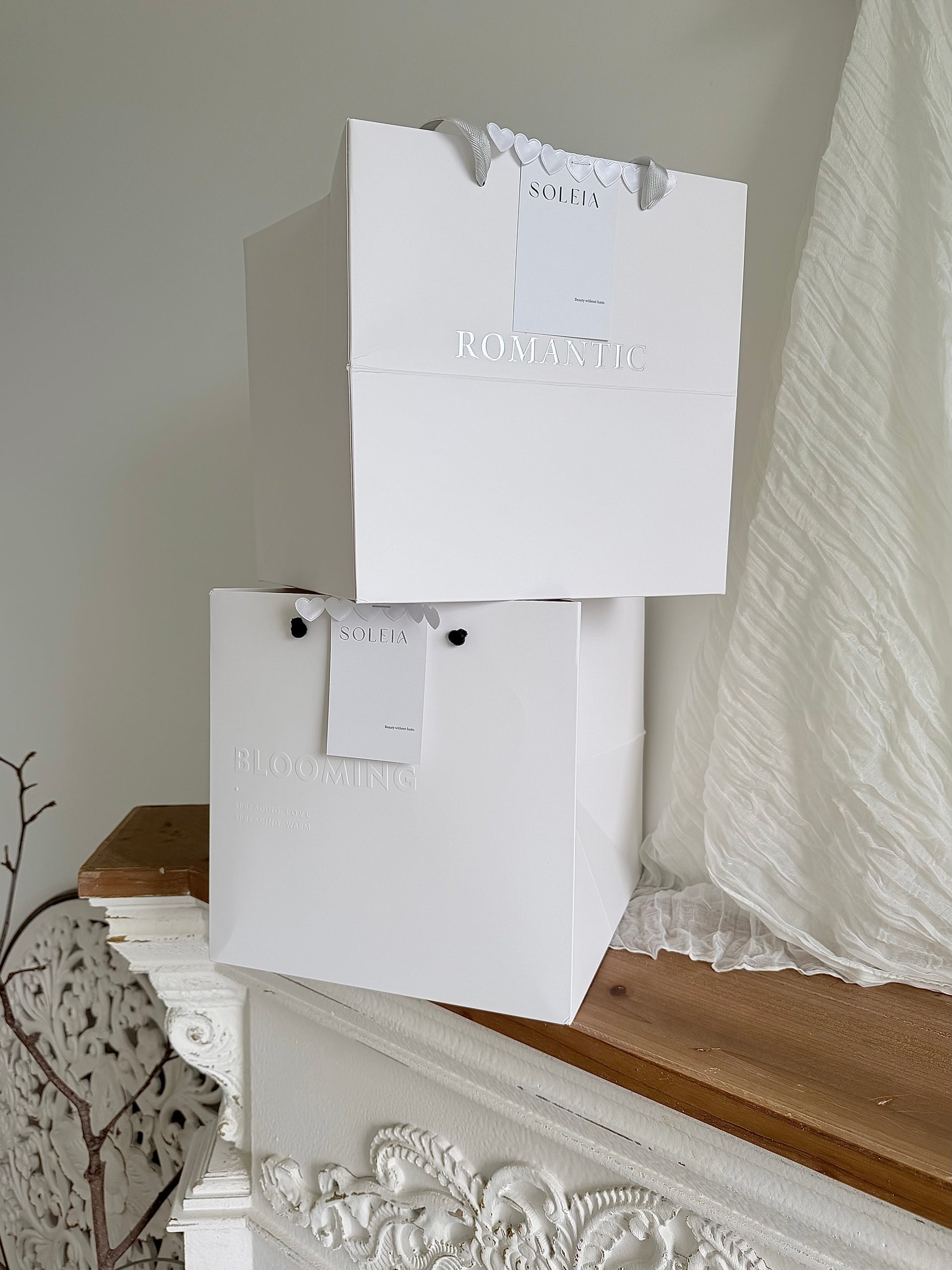 Premium Gift bag