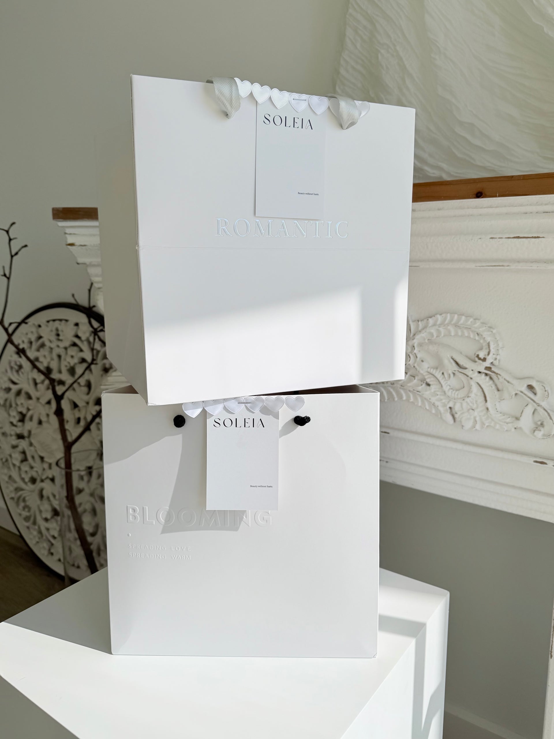 Premium Gift bag