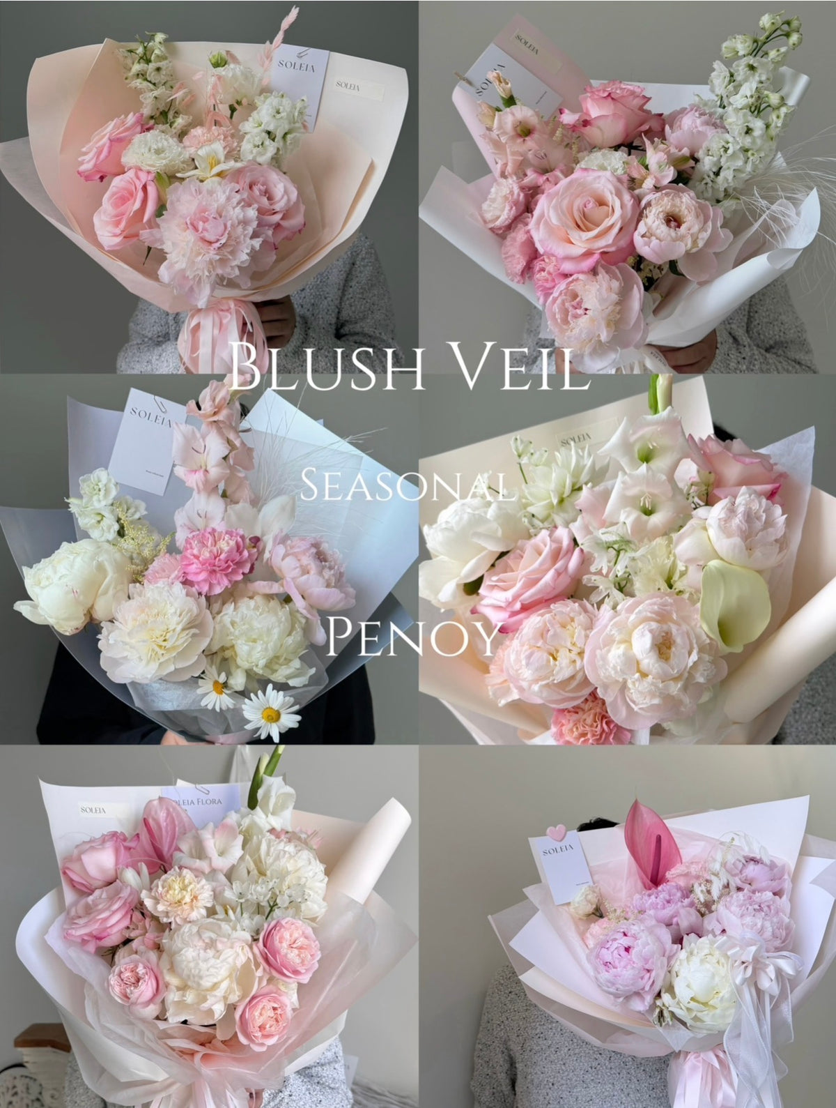 SOLEIA - Blush Veil - Seasonal Peony Edition - Approx. back in October