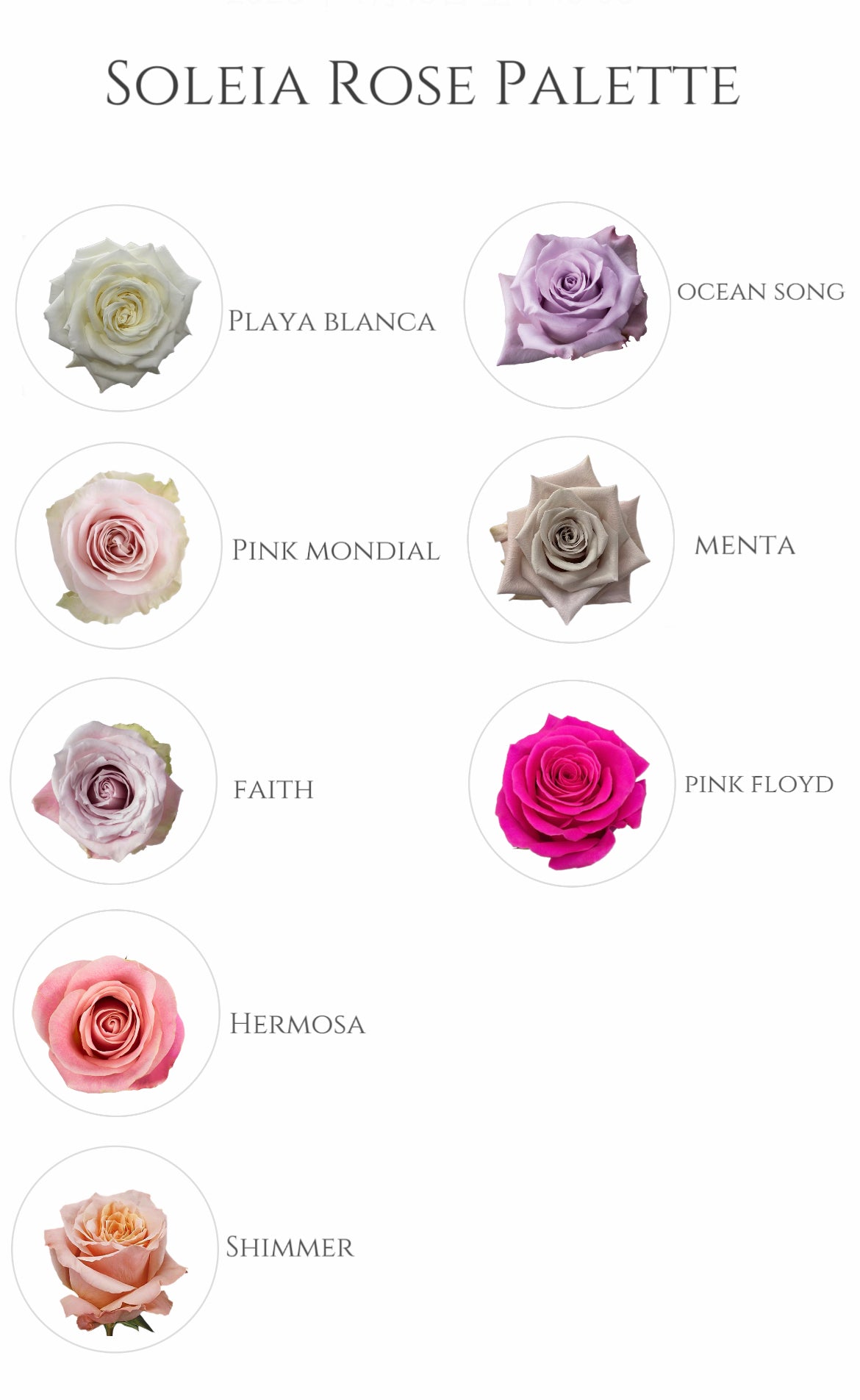 Layered Rose